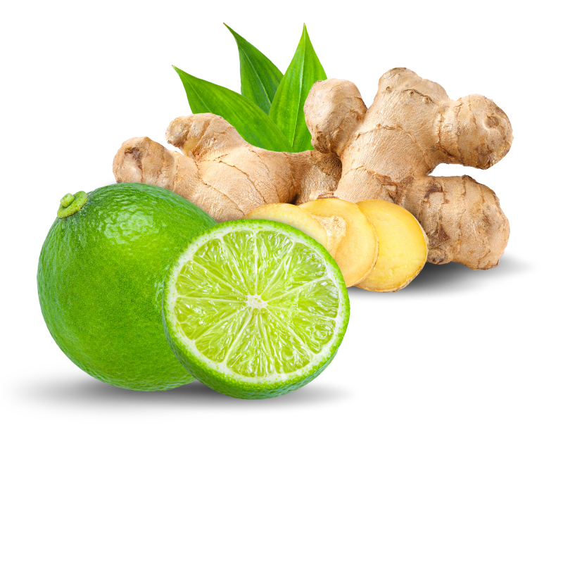 Spritzbier Omas - Ingredientes 100% naturais